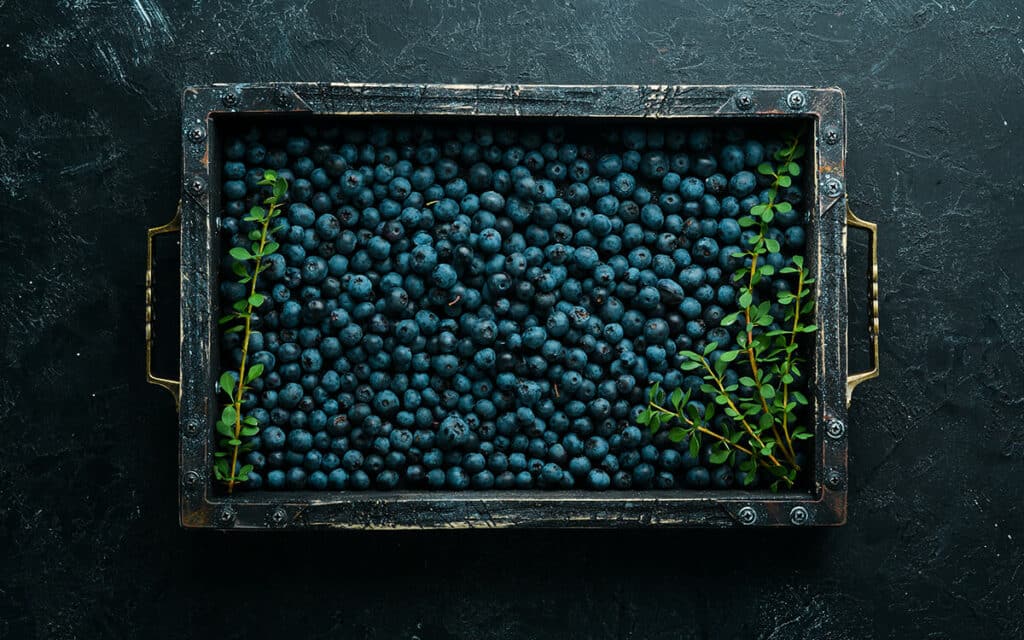 Blaubeeren für Hunde