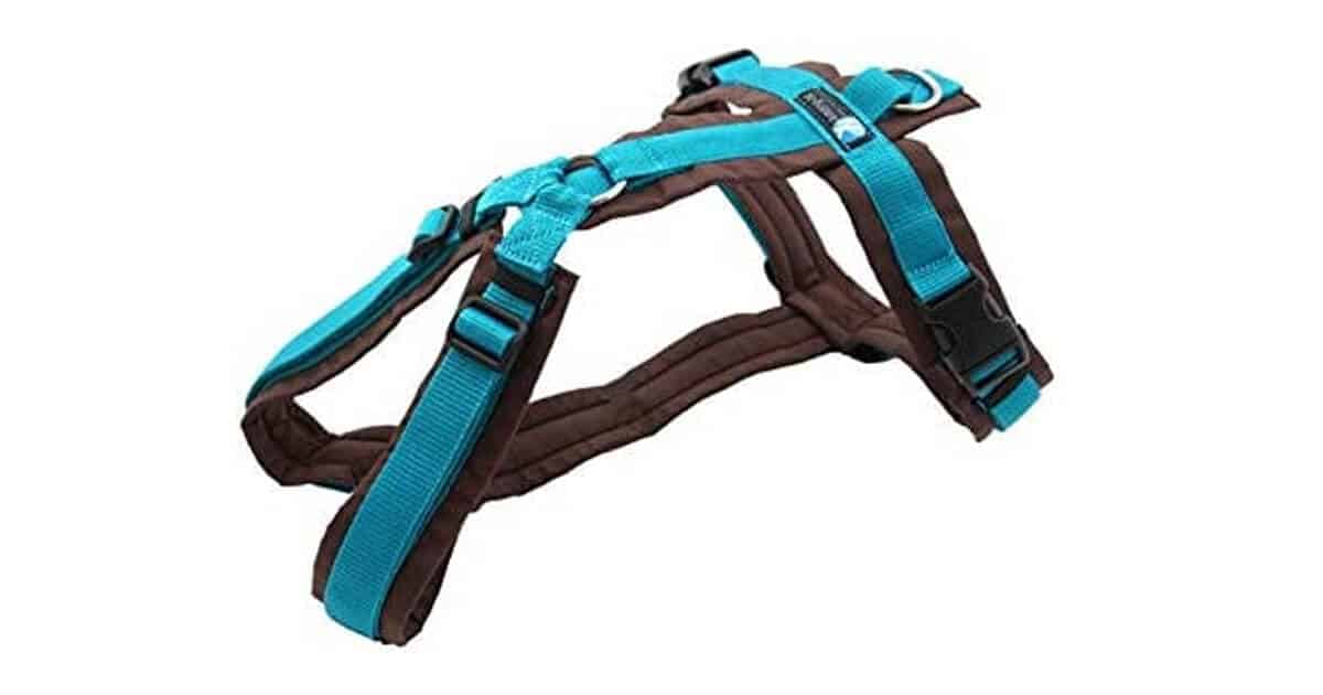 Anny-X Brustgeschirr kleine Hunderassen