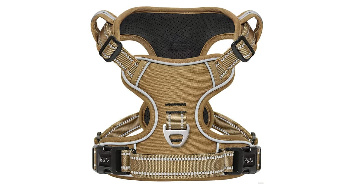 Günstiges Geschirr von Heele