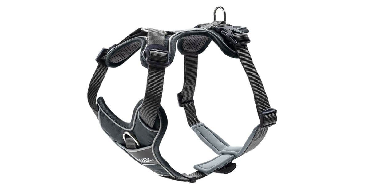 Hunter Divo Geschirr XS - S