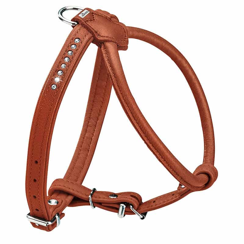 Ledergeschirr für kleine Hunde günstig kaufen