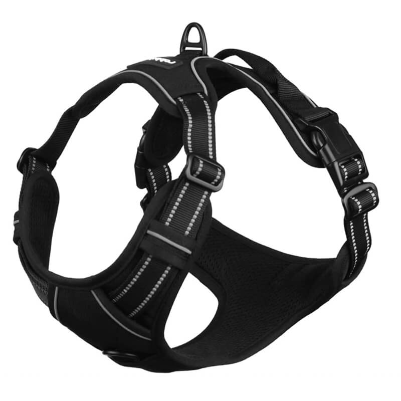 Platz 2 Test und Vergleich Hundegeschirr für kleine Rassen