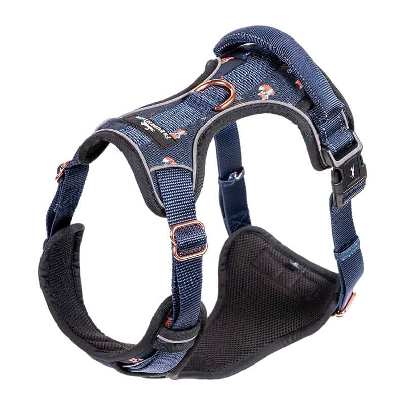 Testsieger Hundegeschirr für kleine Hunde