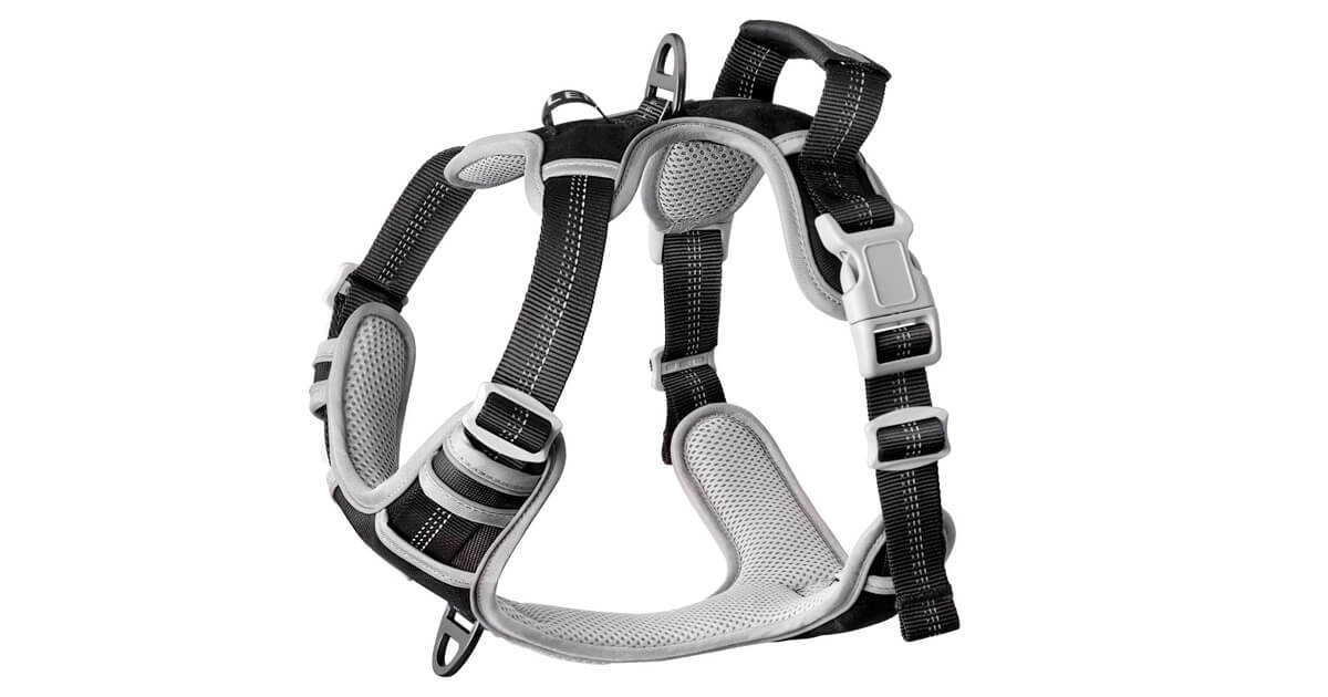 Thinkpet No-Pull Anti-Zug-Geschirr für kleine Hunde