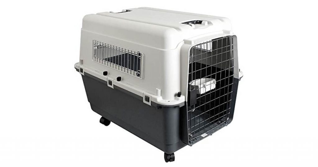 Wie Groß Muss Eine Hundebox Für Einen Schäferhund Sein www.hundekumpel.de