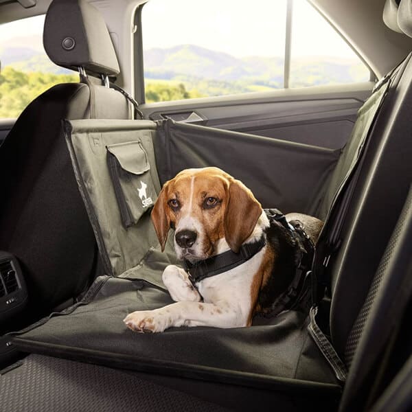 Bester Autositz für Hunde auf dem Rücksitz