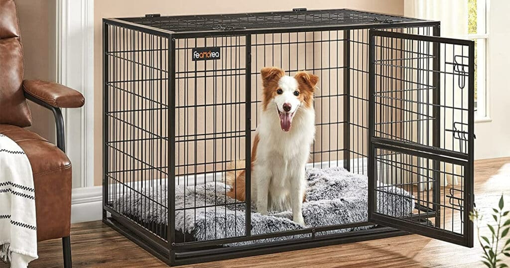 Die besten Hundeboxen für Wohnzimmer im Test 2025 Hundekumpel