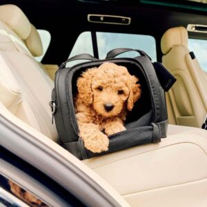 Ein gelockter hellbrauner Welpe sitzt in einer Tavo Dupree II Tiertransporttasche auf dem cremefarbenen Ledervordersitz eines Autos und schaut mit seinen Pfoten auf der Kante aus der Öffnung.