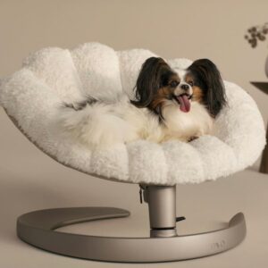 Ein kleiner, flauschiger Hund mit langen Ohren und einem fröhlichen Gesichtsausdruck liegt auf einem plüschigen, weißen Tavo Shell Latte Hundebett vor einem neutralen Hintergrund.
