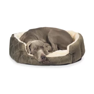 Ein gro&szlig;er, grauer Hund liegt zusammengerollt im Nobby CENO Komfort-Hundebett oval, einem olivgr&uuml;nen Bett mit weichem, cremefarbenem Futter, und ruht entspannt mit dem Kopf auf dem gem&uuml;tlichen Rand.