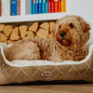 Ein lockig behaarter brauner Hund liegt auf einem weichen beigen Nobby CENO Komfort-Hundebett Oval, auf dem das Etikett "Nobby" prangt. Gestapeltes Kaminholz und ein weißes Bücherregal mit bunten Büchern bilden einen gemütlichen Hintergrund.