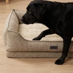 Ein schwarzer Hund tritt auf ein beigefarbenes, rechteckiges Nobby Orthopädisches Hundebett CALBU mit erhöhten Seiten und weichem, strukturiertem Stoff auf einem Holzboden. Auf der Vorderseite des Bettes befindet sich ein kleines "Nobby"-Etikett.